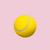 Dog Toy Tennis Ball